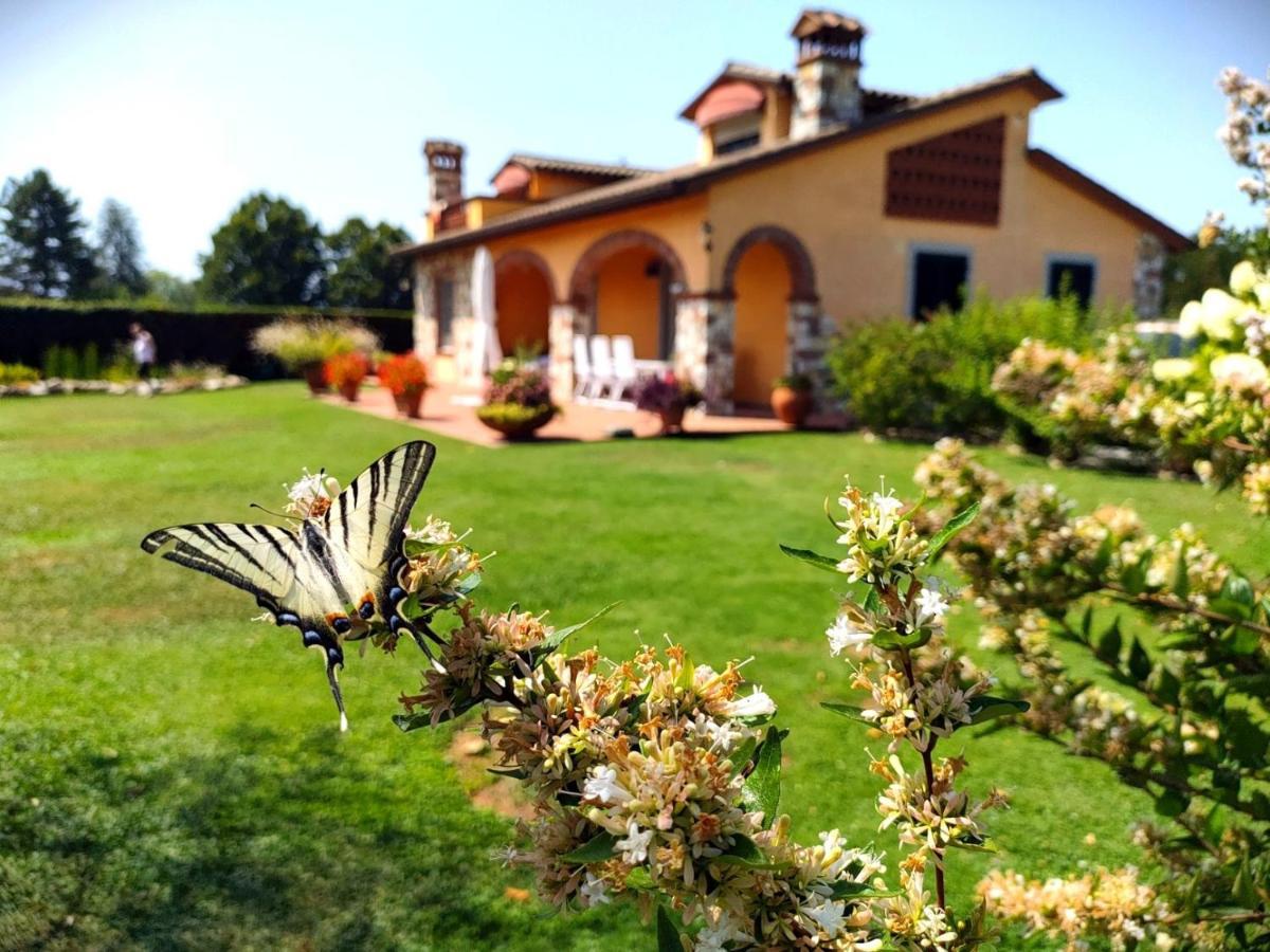 Tuscan Villa Exclusive Use Of Private Pool A/C Wifi Villa Briciola Capannori Zewnętrze zdjęcie